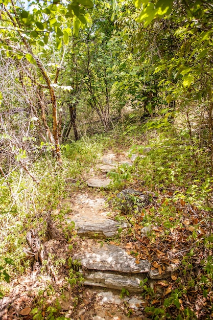 Foto de escadas e passagens na natureza