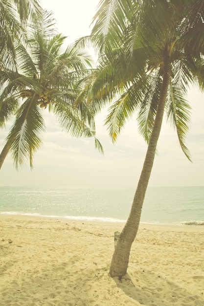 Foto de estilo vintage retrô de praia vazia