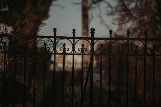 Foto foto de foco seletivo de uma cerca de metal em um parque