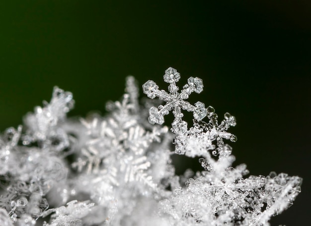 foto de inverno de flocos de neve na neve