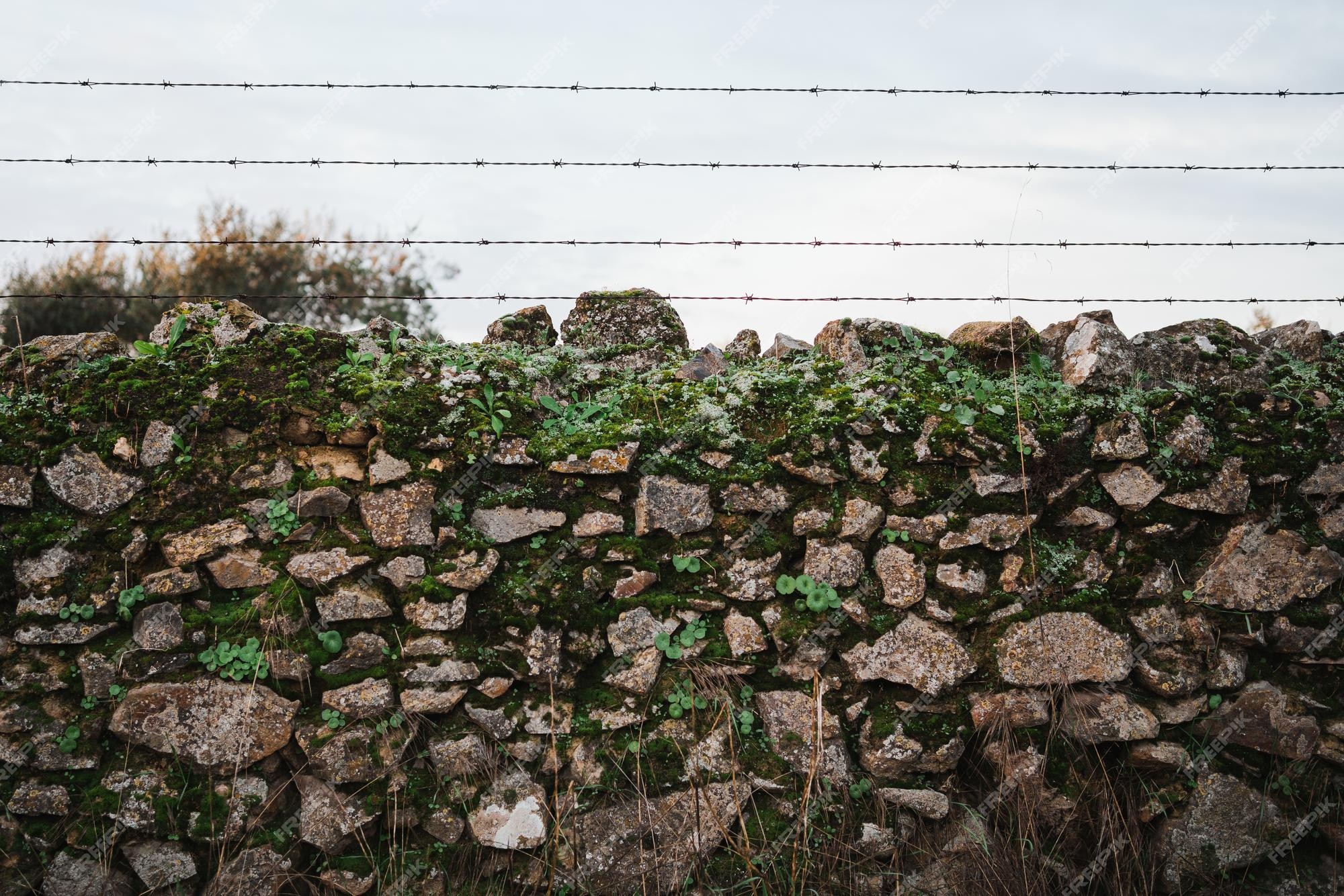 Muro De Pedra Rústica Com Vegetação Crescendo Sobre Ele Foto de Stock -  Imagem de espalhar, verde: 204125440