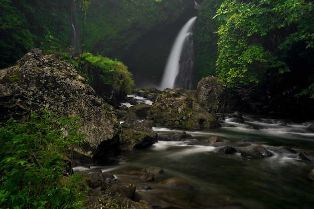 Foto de paisagem indonésia com cachoeira de manhã e bela floresta tropical verde