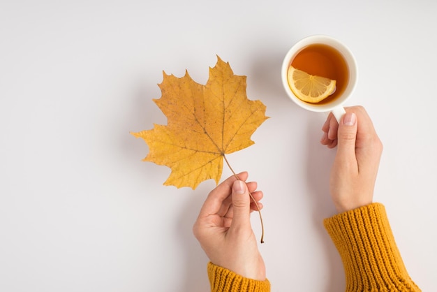 Foto de primeira pessoa da vista superior de mãos femininas em suéter amarelo segurando folha de bordo de outono laranja e xícara de chá com limão em fundo branco isolado