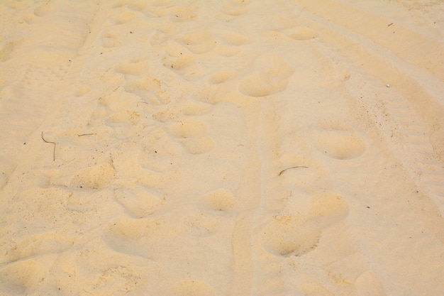 Foto de quadro completo Feche a textura de areia na praia no verão