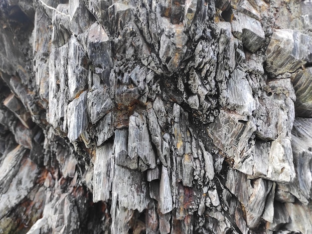 Foto de textura geodésica Textura de rochas naturais de terra e pedra projeto em branco