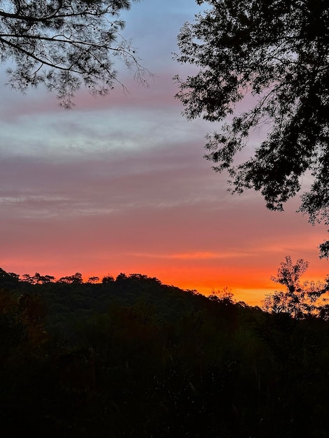 Foto de um belo pôr-do-sol na natureza