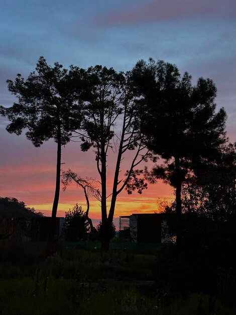 Foto foto de um belo pôr-do-sol na natureza