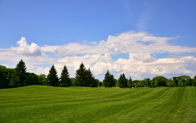 Foto de um campo de golfe. Paisagem de verão. Pode ser usado como papel de parede.
