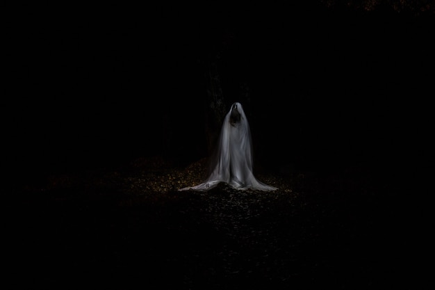 Foto de um fantasma no meio da floresta em total escuridão e feita na técnica de lightpainting