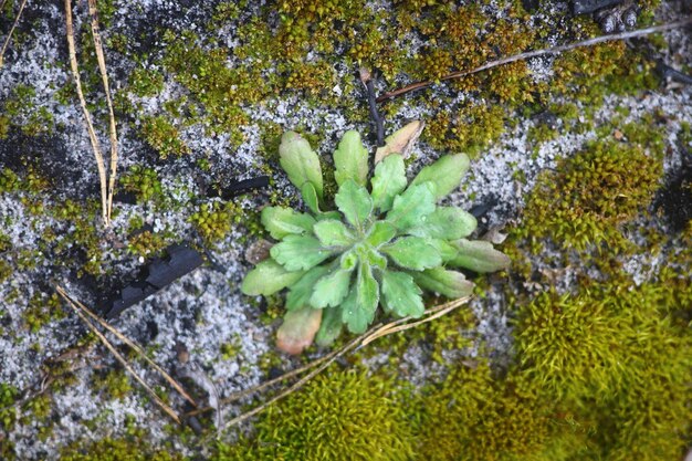 Foto foto de um passeio na natureza