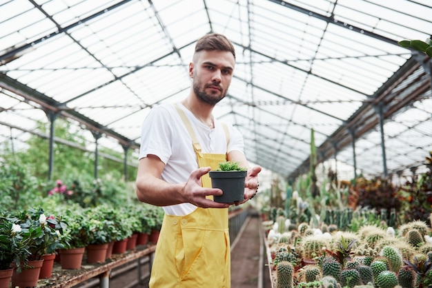 Foto de um trabalhador barbudo da estufa mostrando uma planta em um vaso.