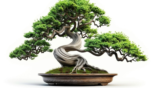 Foto de uma árvore de Bonsai em uma panela em fundo isolado Uma planta de Bonsai perfeita gerada pela IA