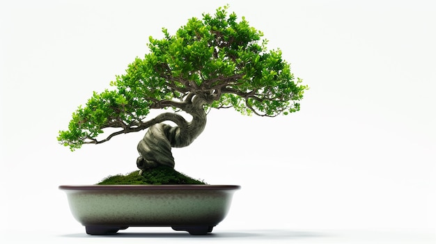 Foto de uma árvore de Bonsai em uma panela em fundo isolado Uma planta de Bonsai perfeita gerada pela IA