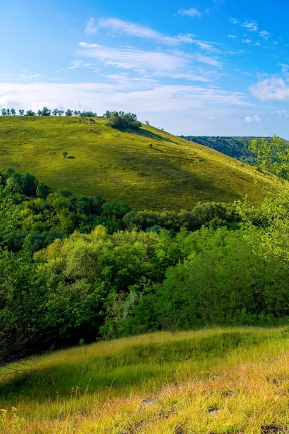 Foto de uma bela colina e grama verde no verão