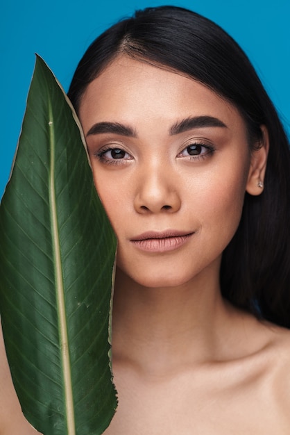 Foto de uma bela positiva sorridente jovem asiática posando isolada na parede azul com folha de planta verde.