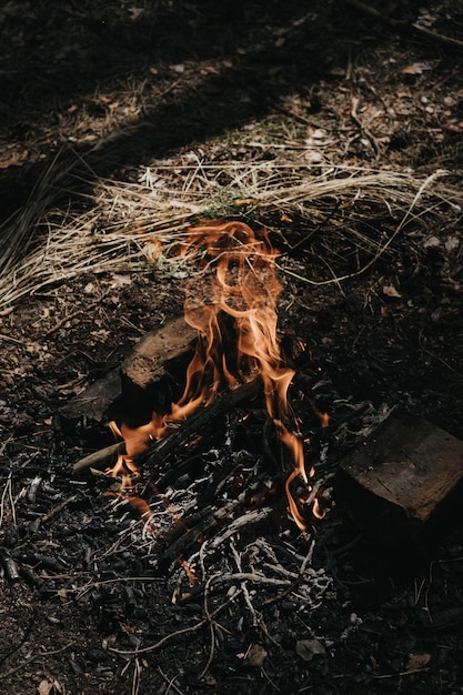 Foto de uma fogueira na fogueira da floresta para churrasco