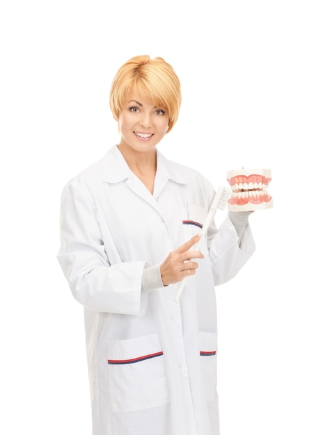 foto de uma médica atraente com escova de dentes e maxilar