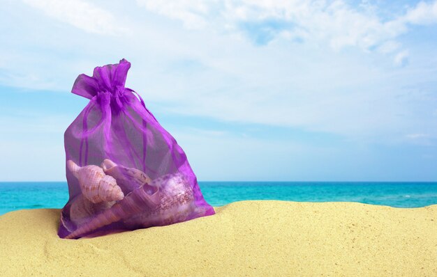 Foto de verão do pacote de conchas do mar na praia