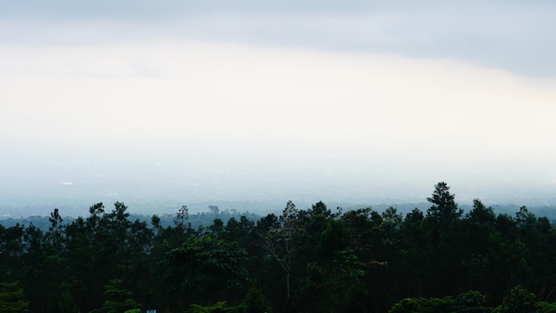 foto de vistas da montanha cheia de árvores