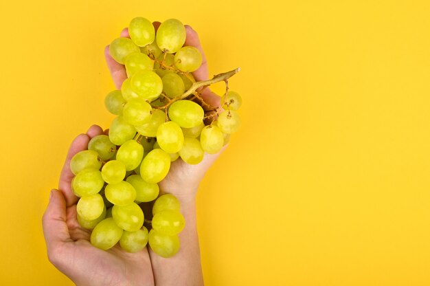 Foto der grünen Traube. Volumetrische Trauben. Ein Haufen grüner Traubenbusch.