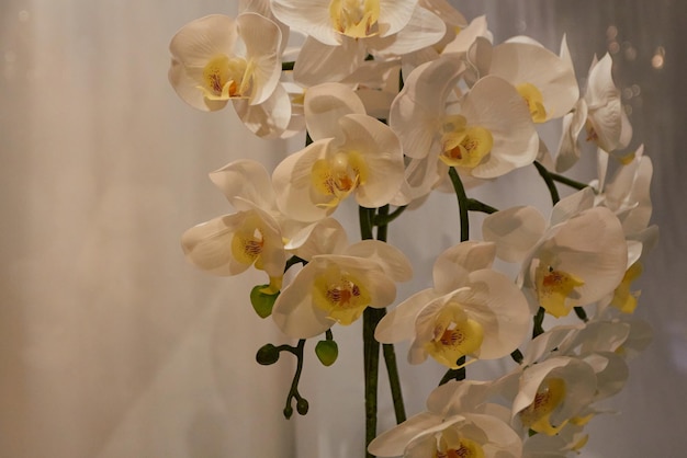 Foto der Hochzeitseinladung mit künstlichen Blumen, weißem Orchideendekor