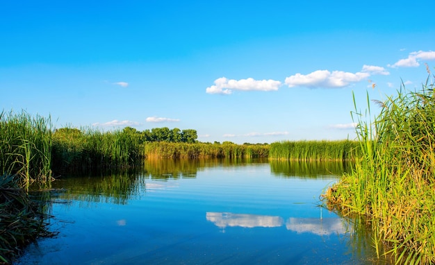 Foto der Natur um den schönen Angelplatz des blauen Sees