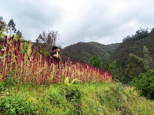 Foto der Quinoa-Pflanze auf den Plattformen von Peru Von Yuri Ugarte Cespedes