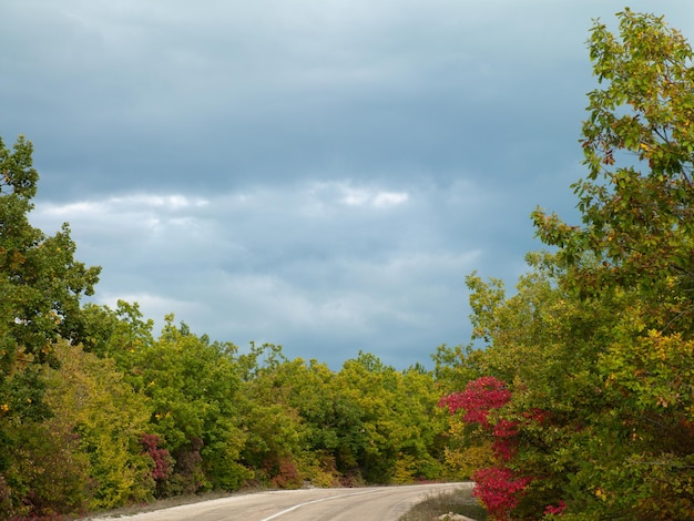 Foto der schönen Naturlandschaft in der Ukraine