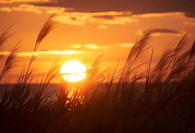 Foto foto des abendsonnenuntergangs im hintergrund mit blick auf den fluss