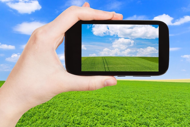 Foto des grünen Landfeldes unter blauem Himmel