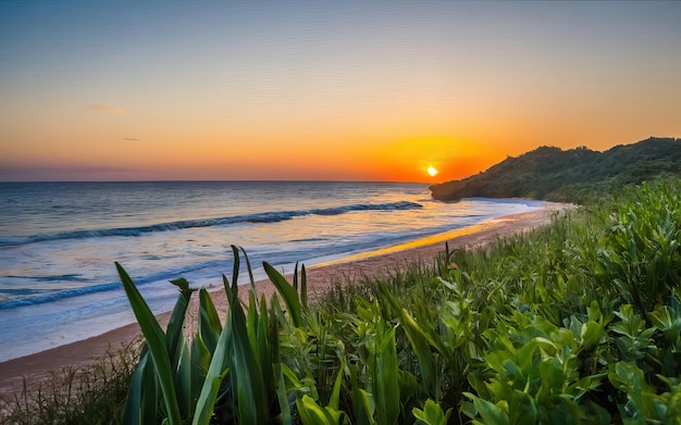 Foto des paradiesischen Strandes tagsüber mit Sonnenuntergang