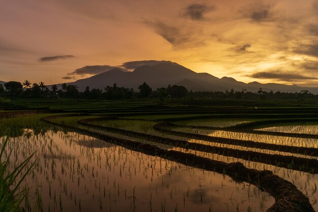 Foto des Sonnenaufgangs, der morgens auf die Berge und Reisfelder in Bali scheint