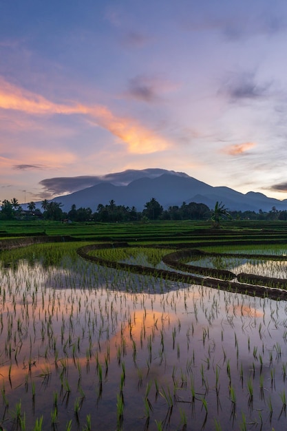 Foto des Sonnenaufgangs in den Bergen und Reisfeldern in Indonesien