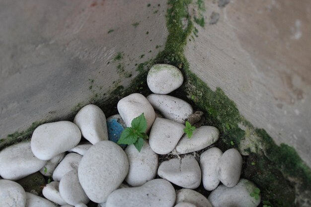 Foto des weißen Steins in der Ecke der Mauer