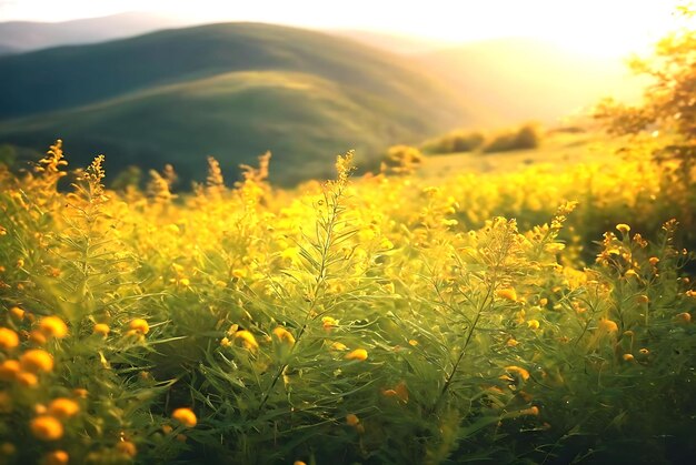 Foto foto digitale kunstwerke grüne natur