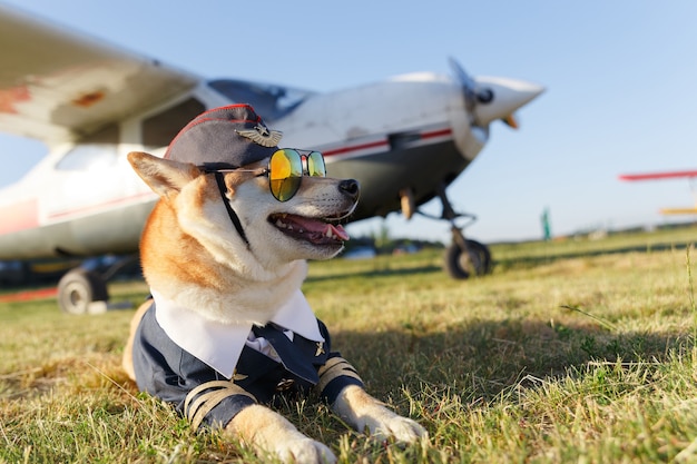 Foto foto divertida del perro shiba inu en traje de piloto en el aeropuerto