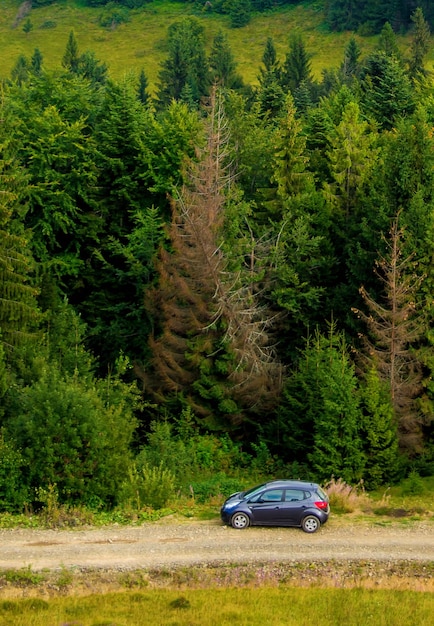 Foto do carro na estrada em uma bela floresta verde nas montanhas dos Cárpatos