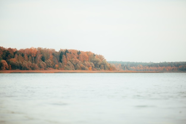 Foto do rio de árvores de outono