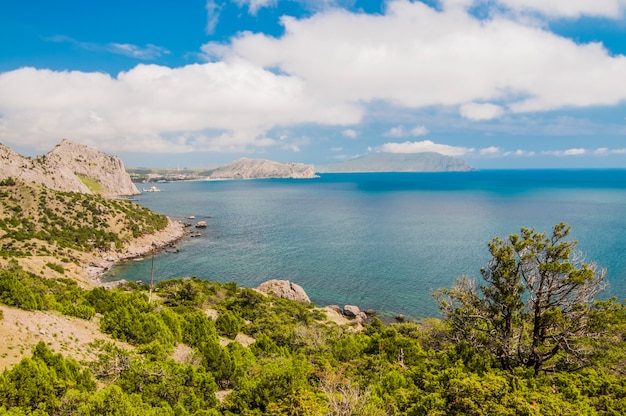 Foto do topo da montanha Ai-Petri, árvore cresce na rocha, lindo horizonte e céu azul com nuvens brancas