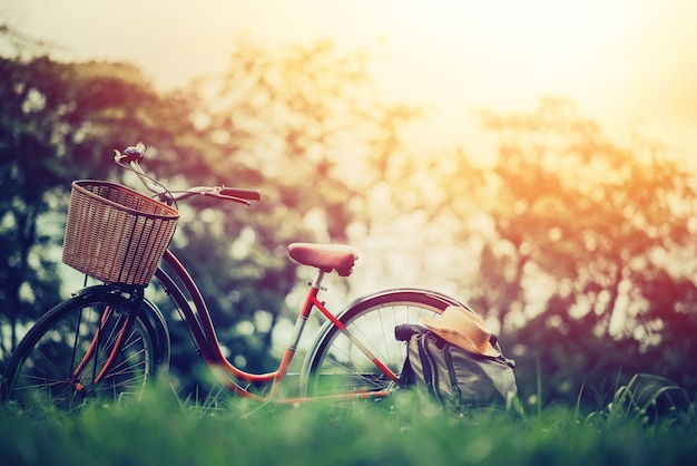 Foto foto do vintage da bicicleta no jardim na paisagem do verão.