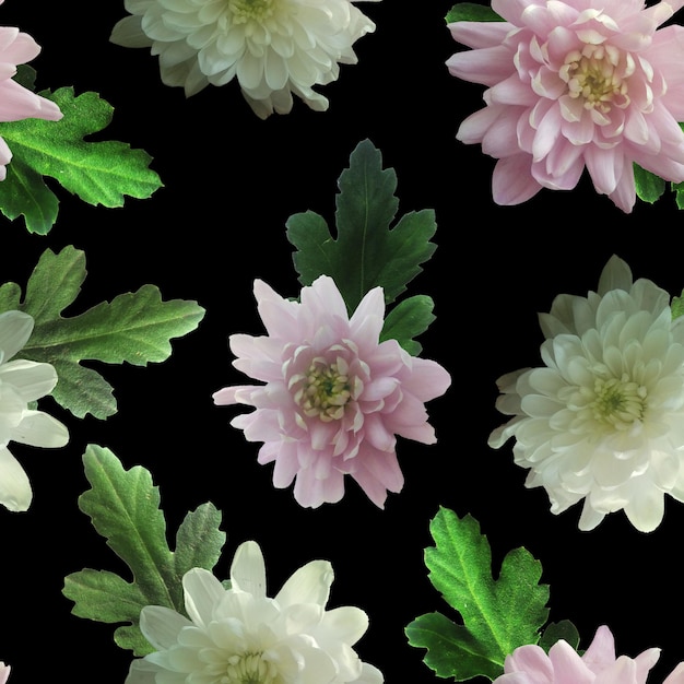 Foto e padrão digital sem costura com flores de crisântemos da natureza