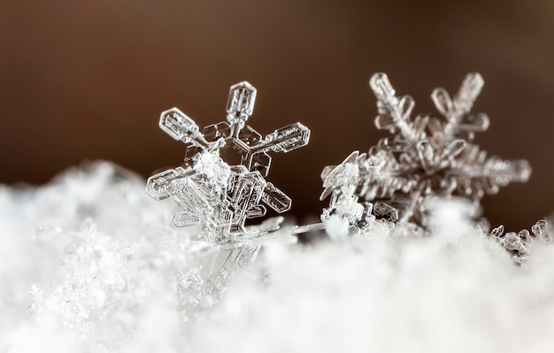 Foto echte Schneeflocken während eines Schneefalls, unter natürlichen Bedingungen bei niedriger Temperatur