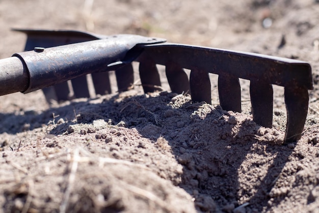 Foto einer Gartenharke auf einem Beet Alte Metallharke im Garten Frühjahrsputz Bildung des Bodens