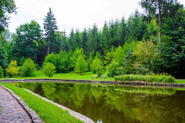 Foto einer Steinstraße in der Nähe des Sees in einem wunderschönen grünen Park im Sommer