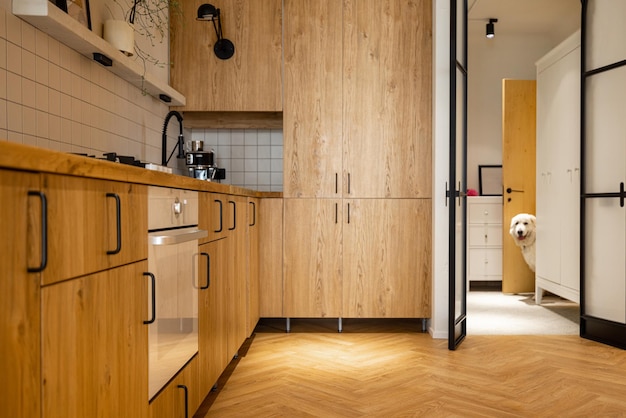 Foto einer stilvollen Kücheneinrichtung aus Holzmaterialien
