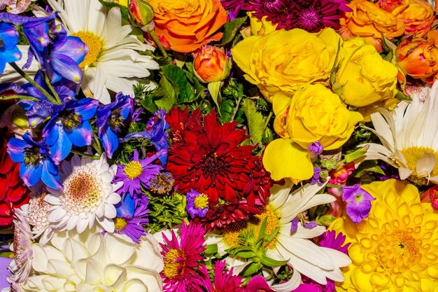 Foto eines schönen, abstrakten Blumenhintergrunds in Nahaufnahme, der aus vielen Blumen besteht