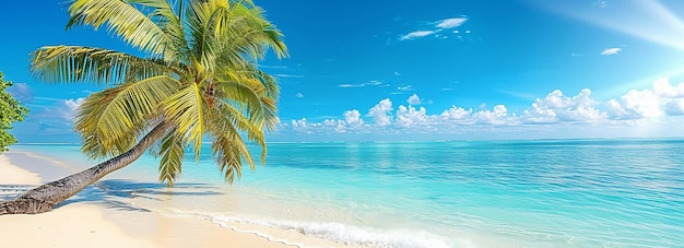 Foto foto eines sonnigen tages mit blick auf den palmenstrand eines tropischen strandes im hintergrund