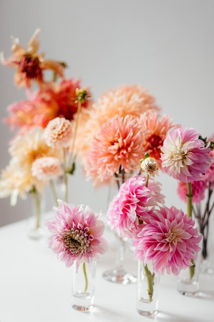 Foto eines Straußes aus wilden, frischen Frühlingsblumen, fotografiert auf weißem Hintergrund bei Tageslicht, Blumen für ausgeschnittenen weißen Hintergrund