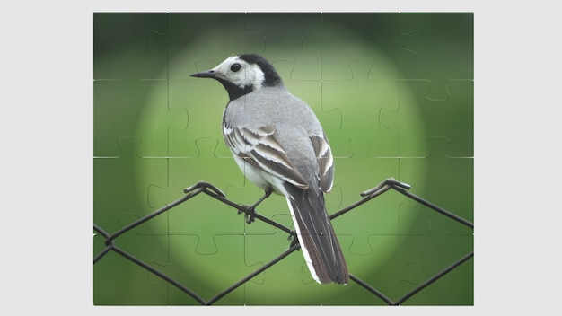 Foto eines Vogels auf einem Puzzle