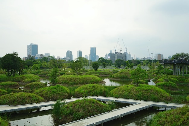 Foto eingelassen einem Park in Thailand